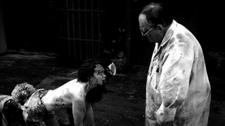 Illustration for article titled Human Centipede II is about the horrors of fanfic